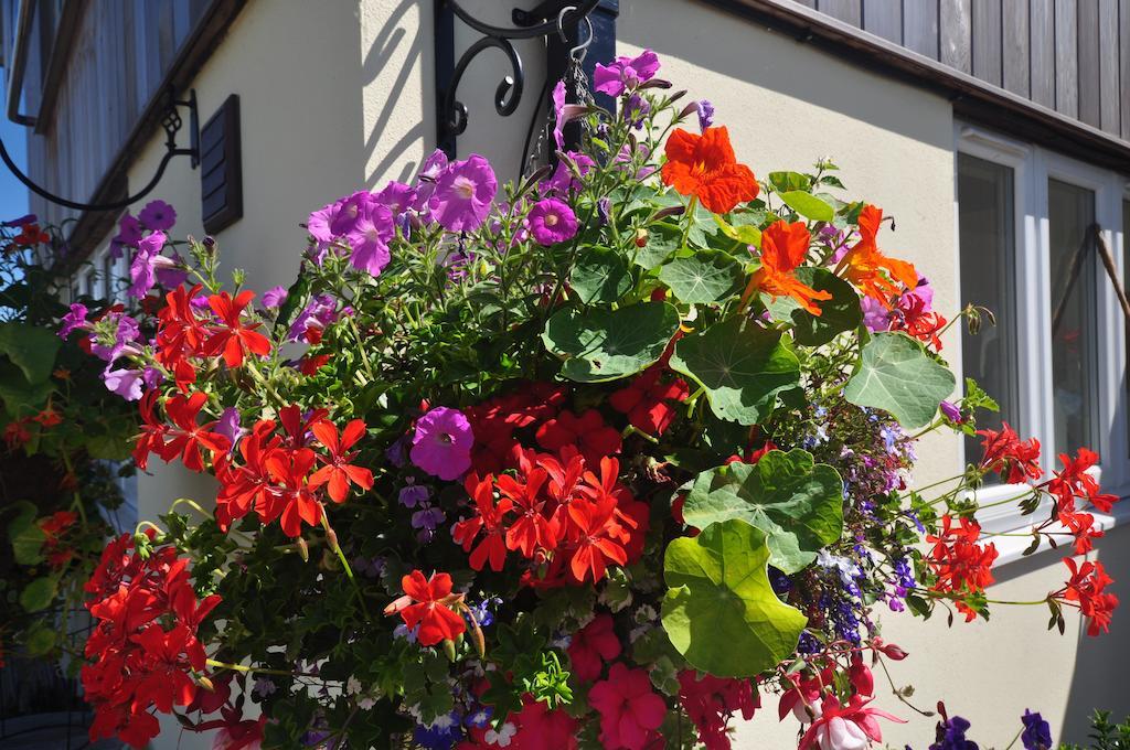 The Bosham B&B エクステリア 写真
